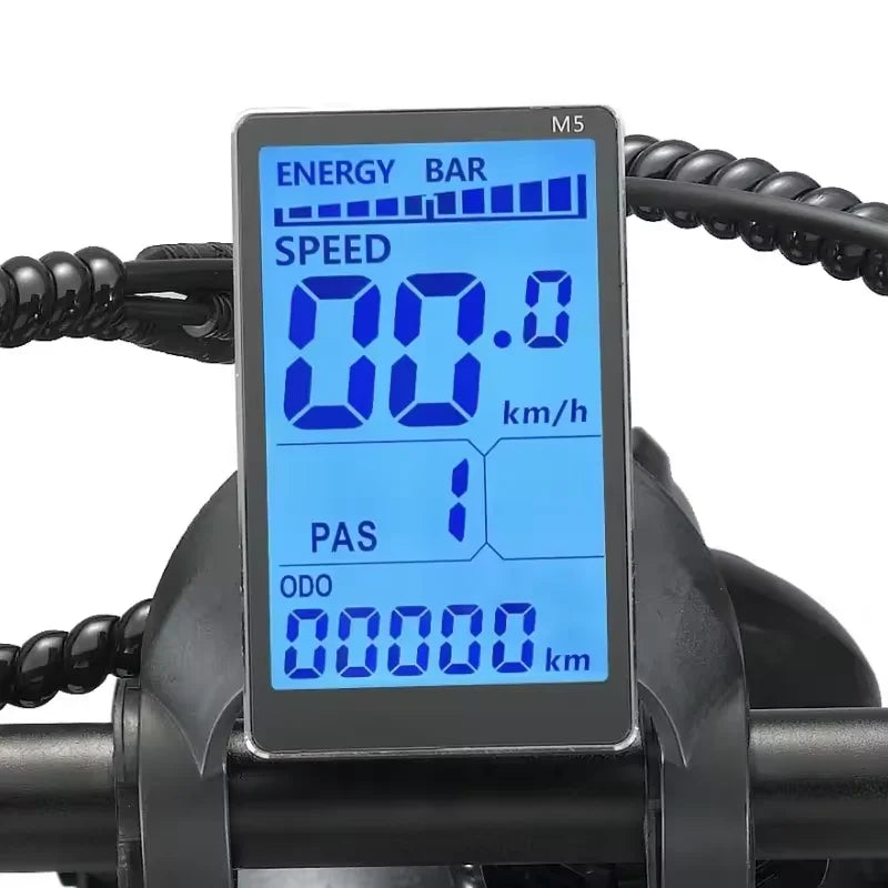 V8 Fatbike 500W 1000W 48V 20-Inch Fat Tire Electric Hybrid Bike Fashion Off-Road Ebike