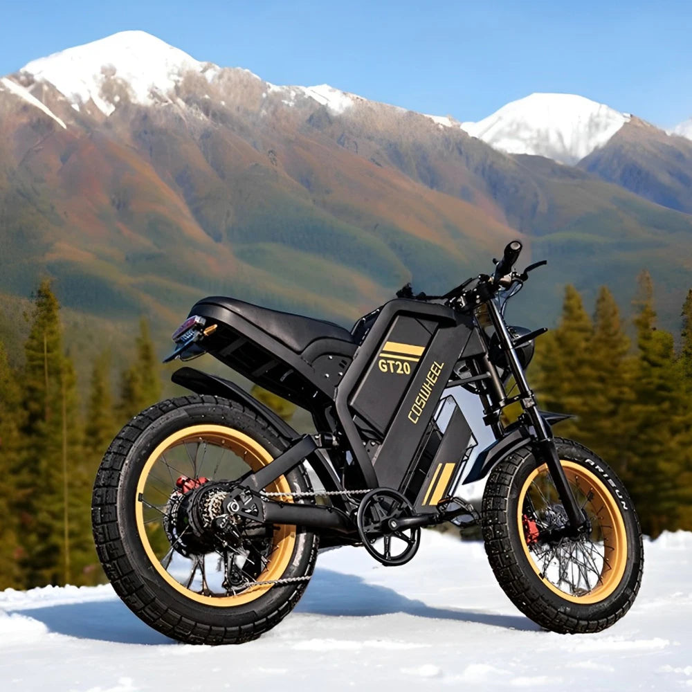 Electric Bike for Adult 2000W 60V Off-Road Motorcycle Mountain Bikes 20Inch Electric Bike Fatbike Motorcycles Ebike