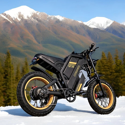 Electric Bike for Adult 2000W 60V Off-Road Motorcycle Mountain Bikes 20Inch Electric Bike Fatbike Motorcycles Ebike